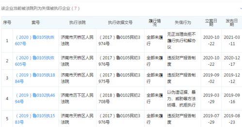 爆料九人成员名单表最新,揭秘神秘团队背后的故事  第2张