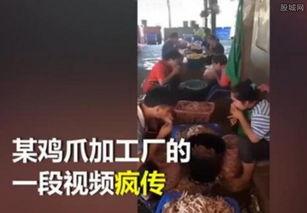 网友爆料吃鸡脚视频,吃鸡脚视频引发热议，揭秘网络直播背后的秘密  第2张