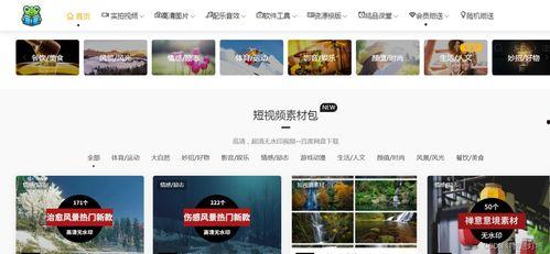 爆料风格视频素材库,独家视频素材库深度解析 第1张 爆料风格视频素材库,独家视频素材库深度解析 第1张